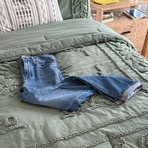 Madewell the high rise slim boy jean size 25
